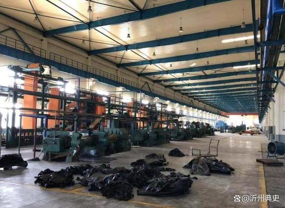 位于淮安经济开发区的一家大型工厂被整体打包拍卖,起拍价高达4868.